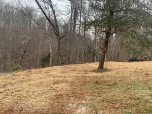 {{ custom_values.service_2 }} in {{custom_values.area_1})