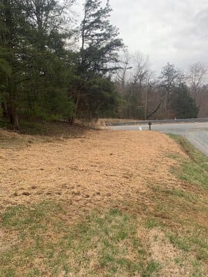 {{ custom_values.service_4 }} in {{custom_values.area_7})