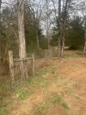 {{ custom_values.service_1 }} in {{custom_values.area_7})