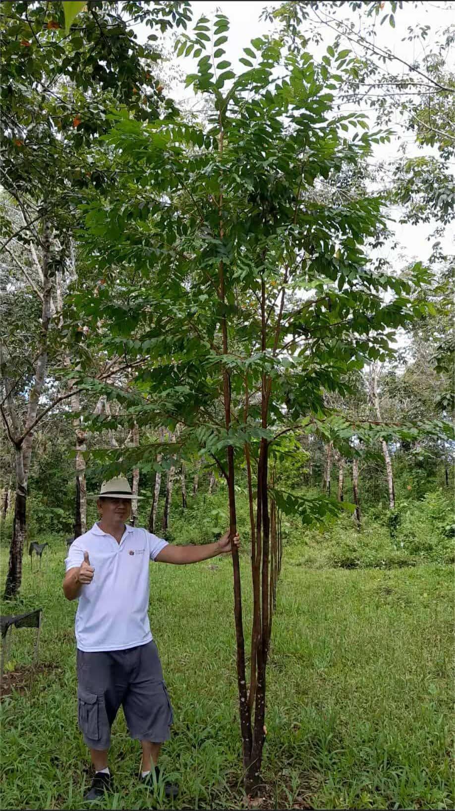 Successful agripreneur in modern field