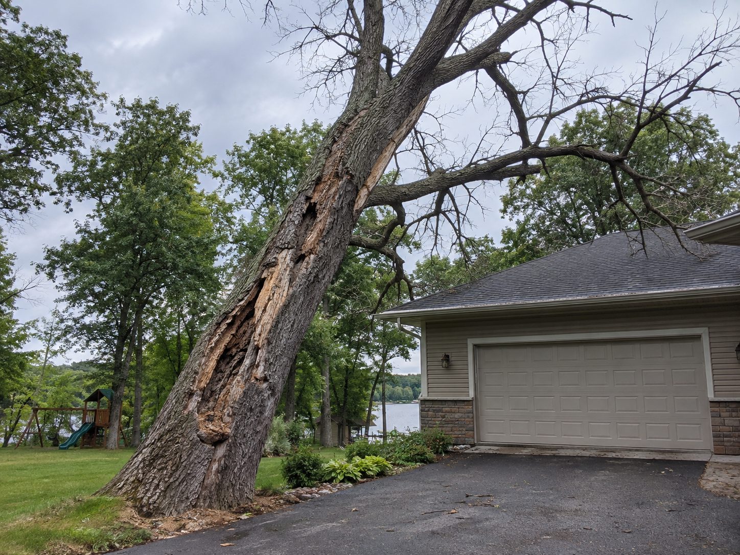 Hazardous leaning tree near a home