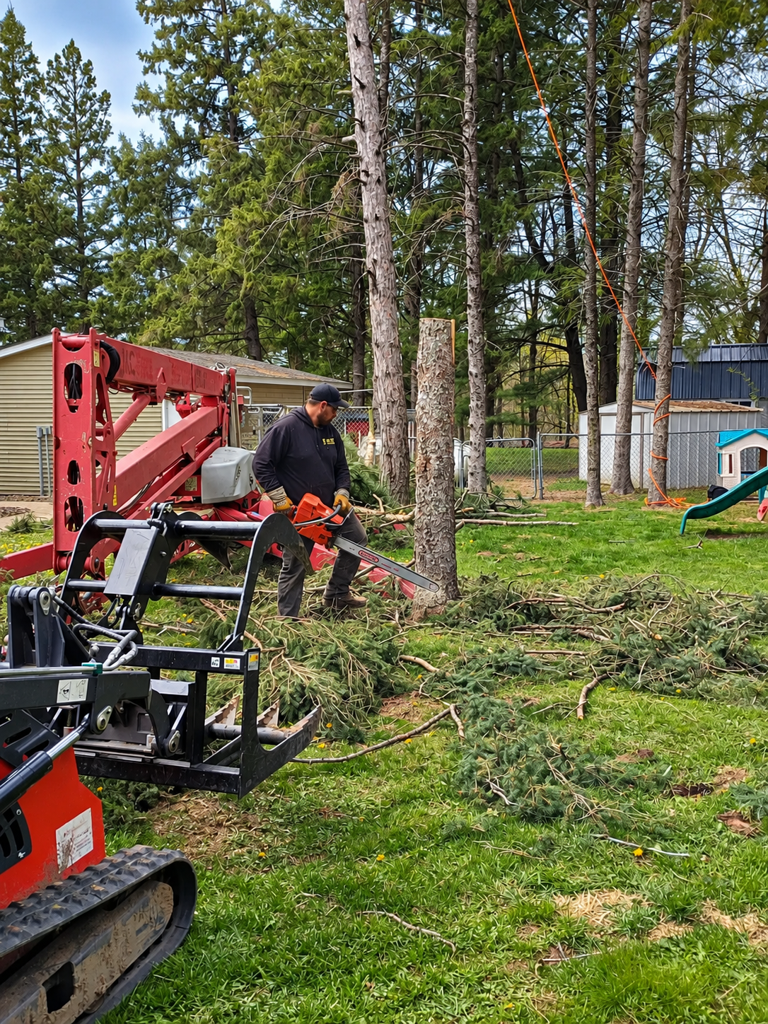 Tree service in Central Minnesota