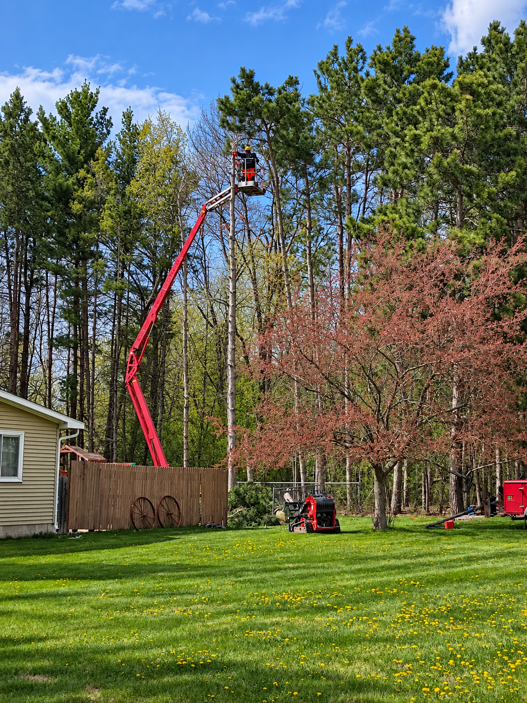 Professional tree service using a bucket lift in Central Minnesota