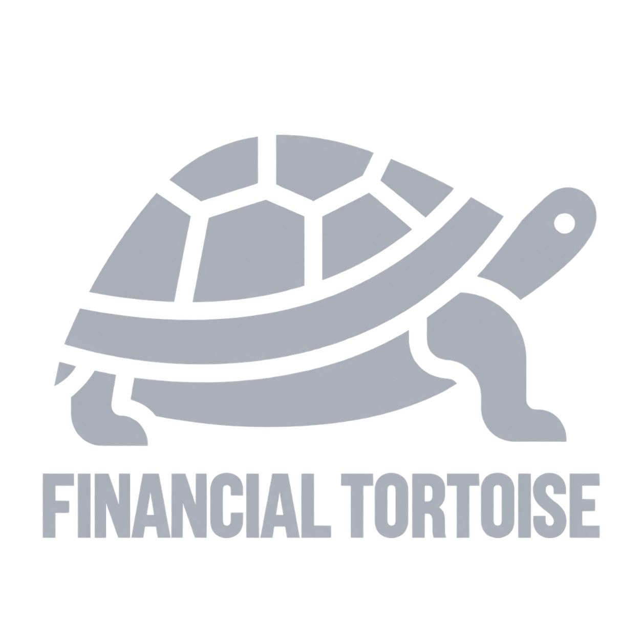 Financial Tortoise
