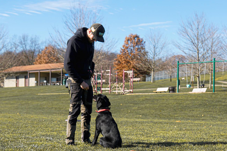 puppy-boarding