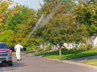 Disease Treatment in Indianapolis