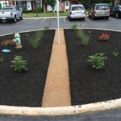 Tree Pruning Indianapolis