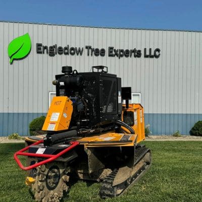 Tree Pruning Indianapolis