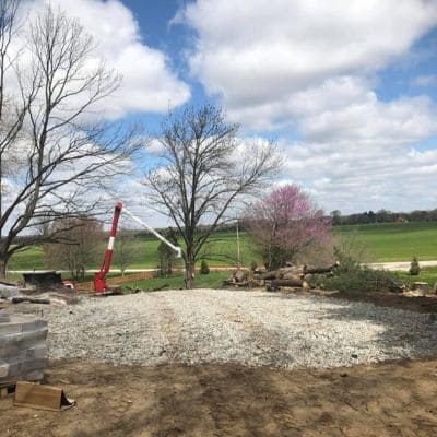 Tree Evaluation Indianapolis