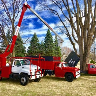 Tree Risk Assessment Indianapolis