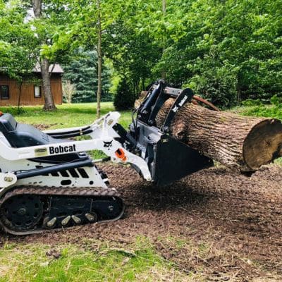 Emergency Tree Removal Indianapolis