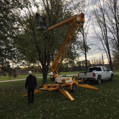 Stump Grinding Indianapolis