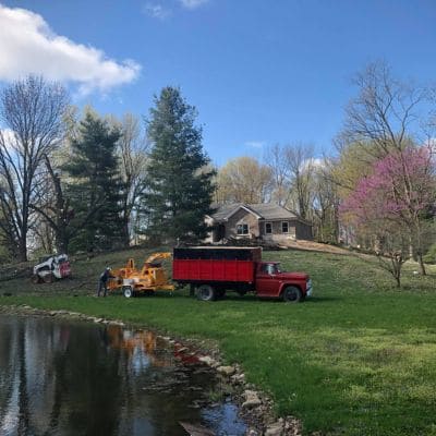 Stump Grinding Indianapolis