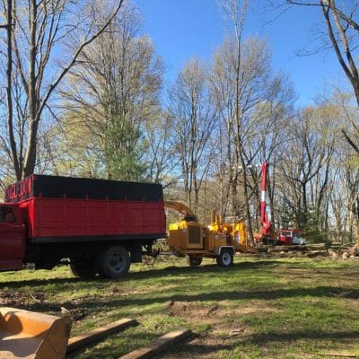 Disease Treatment Indianapolis