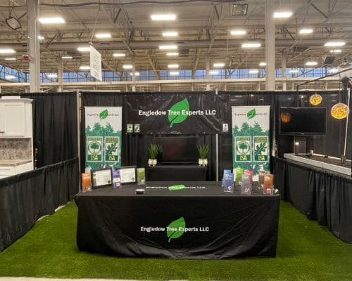 Tree Arborist Indianapolis