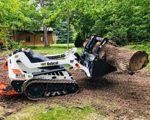 Greenfield Tree Trimming