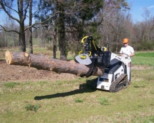 Greenfield Tree Removal