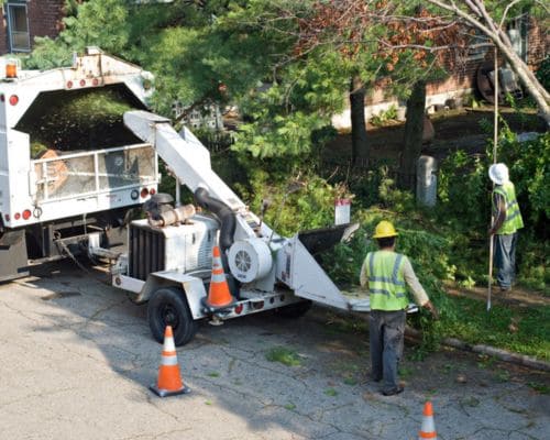 Greenwood Commercial Tree Service