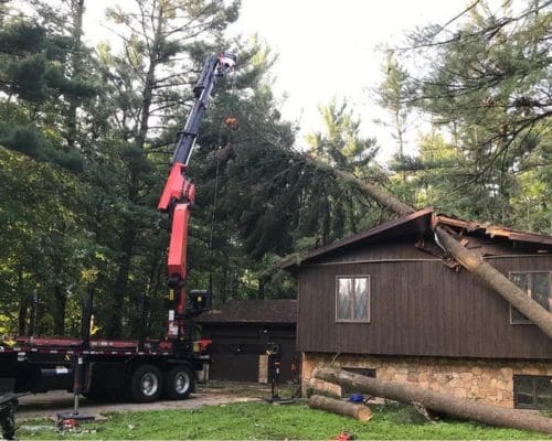  Tree Removal