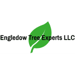 Tree Arborist Indianapolis