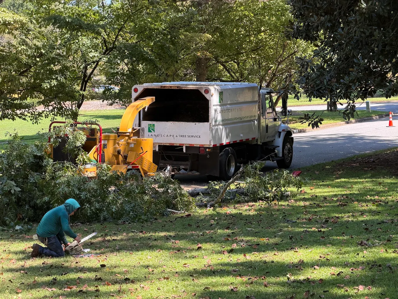 Premium Tree & Shrub property cleanup with chipper and hauling equipment