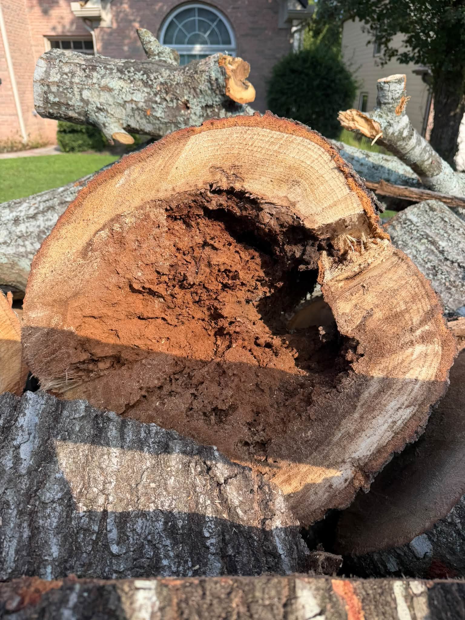Tree work on a residential property