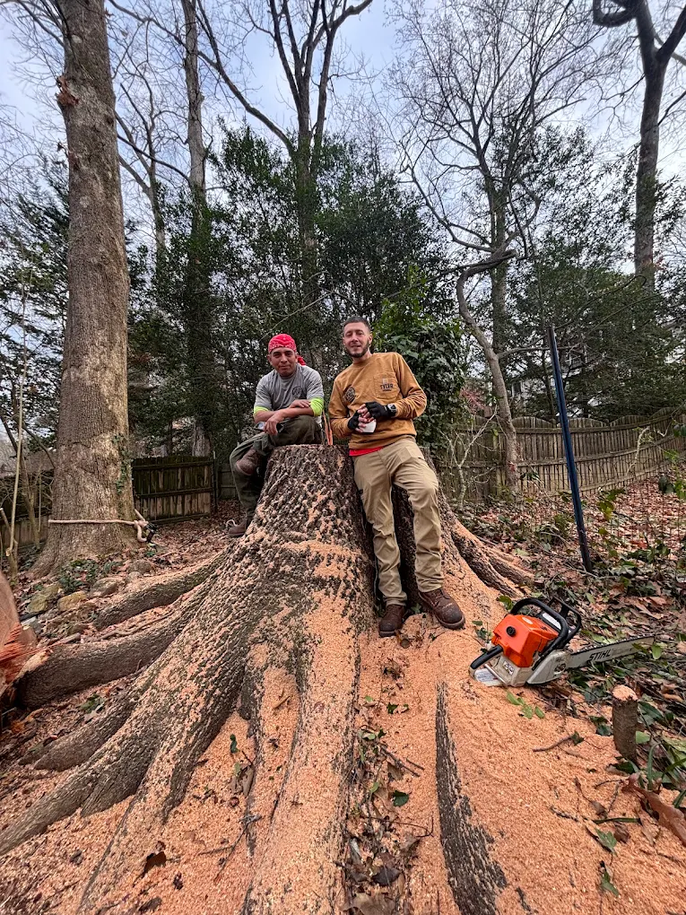 Crew at a completed tree removal