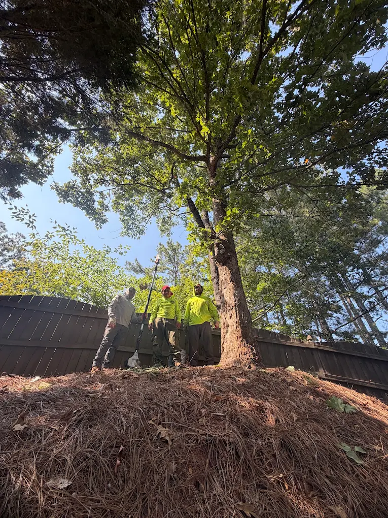 Premium Tree & Shrub crew beside a tree at a residential property