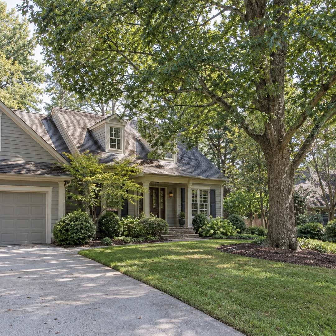 Tree canopy beside a residential driveway and house roof