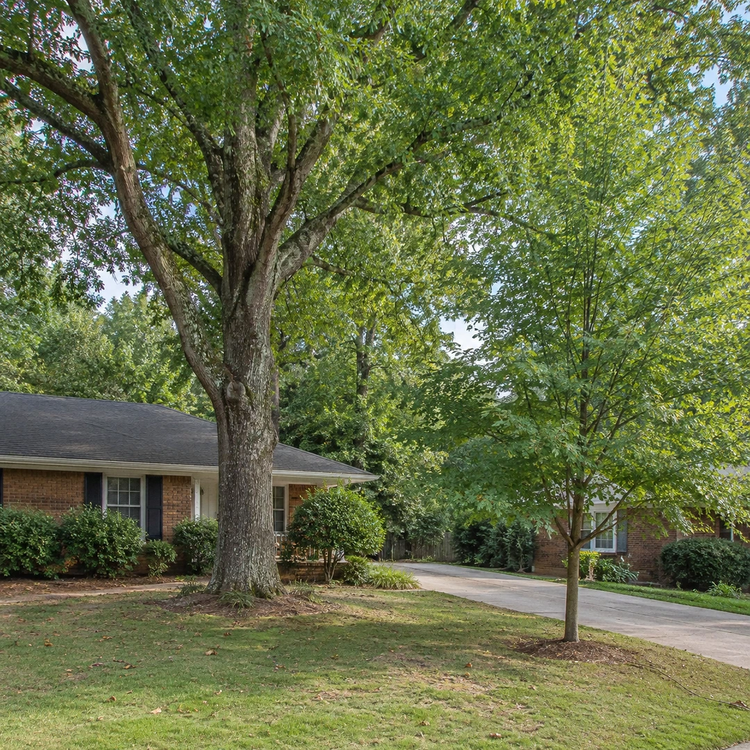 Mature tree and smaller tree beside a brick home