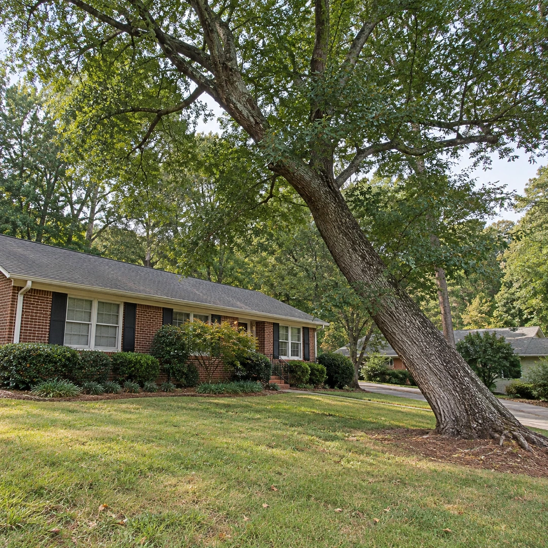 Leaning mature tree near a brick residential home