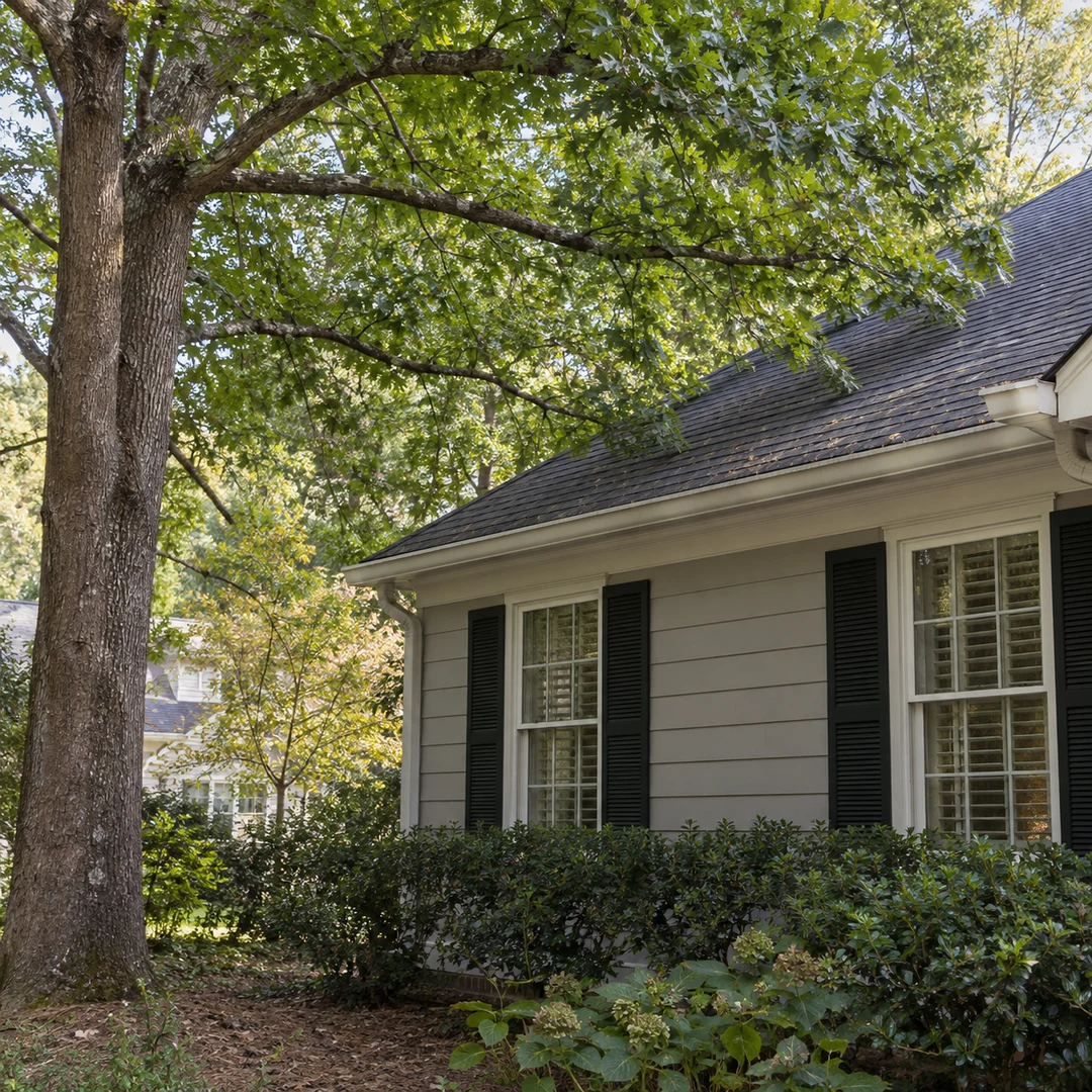 Tree limbs extending above a residential roof
