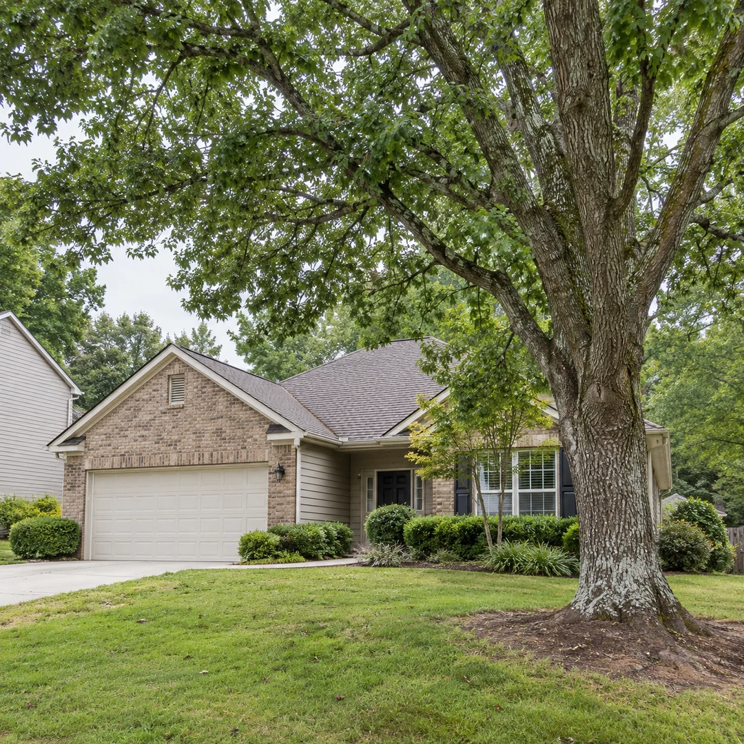 Healthy mature tree beside a modest Georgia residential home