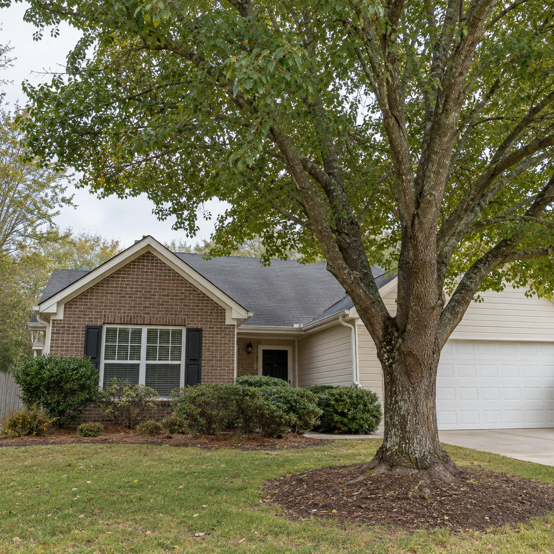 Healthy mature tree beside a modest Georgia residential home