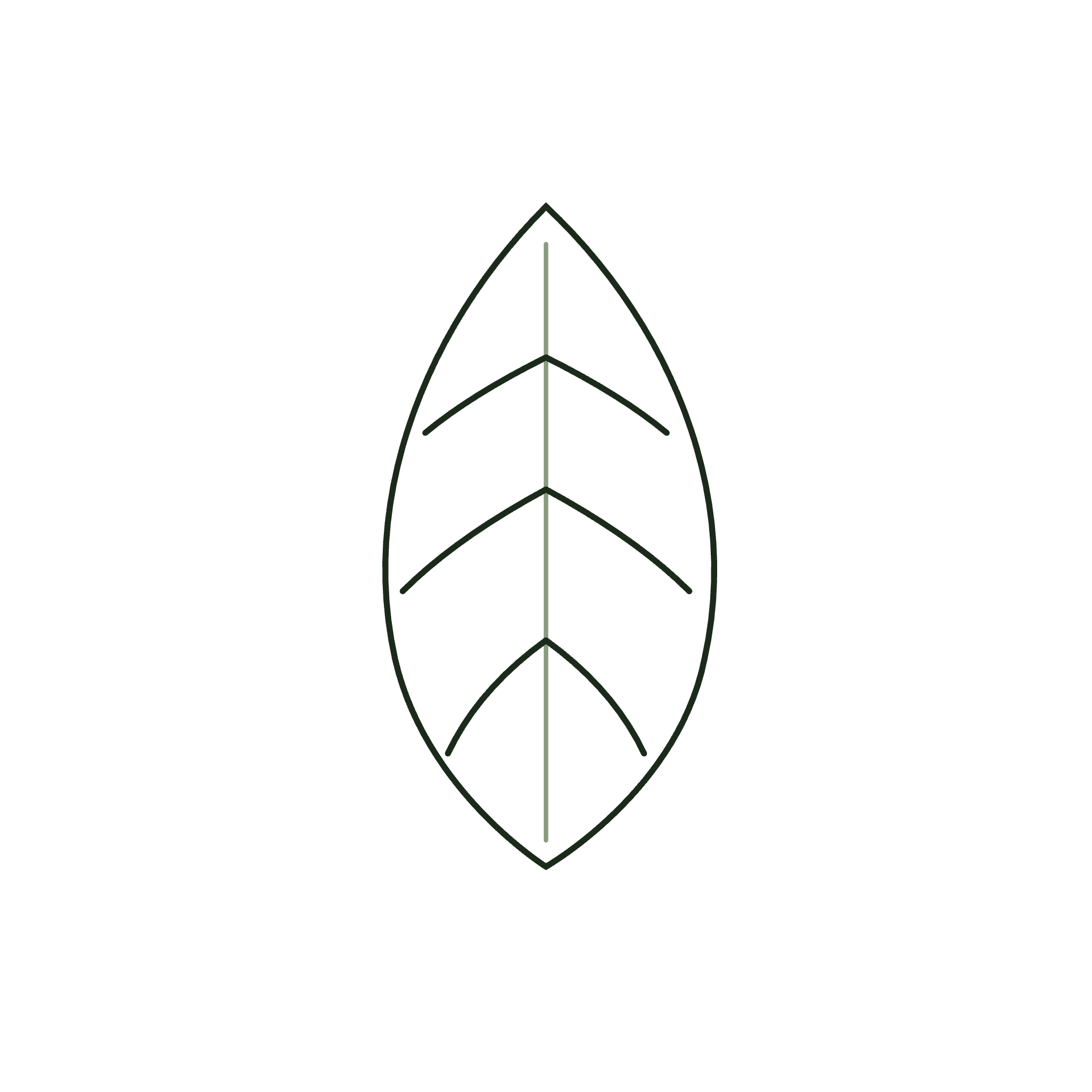 Silver Leaf Logo