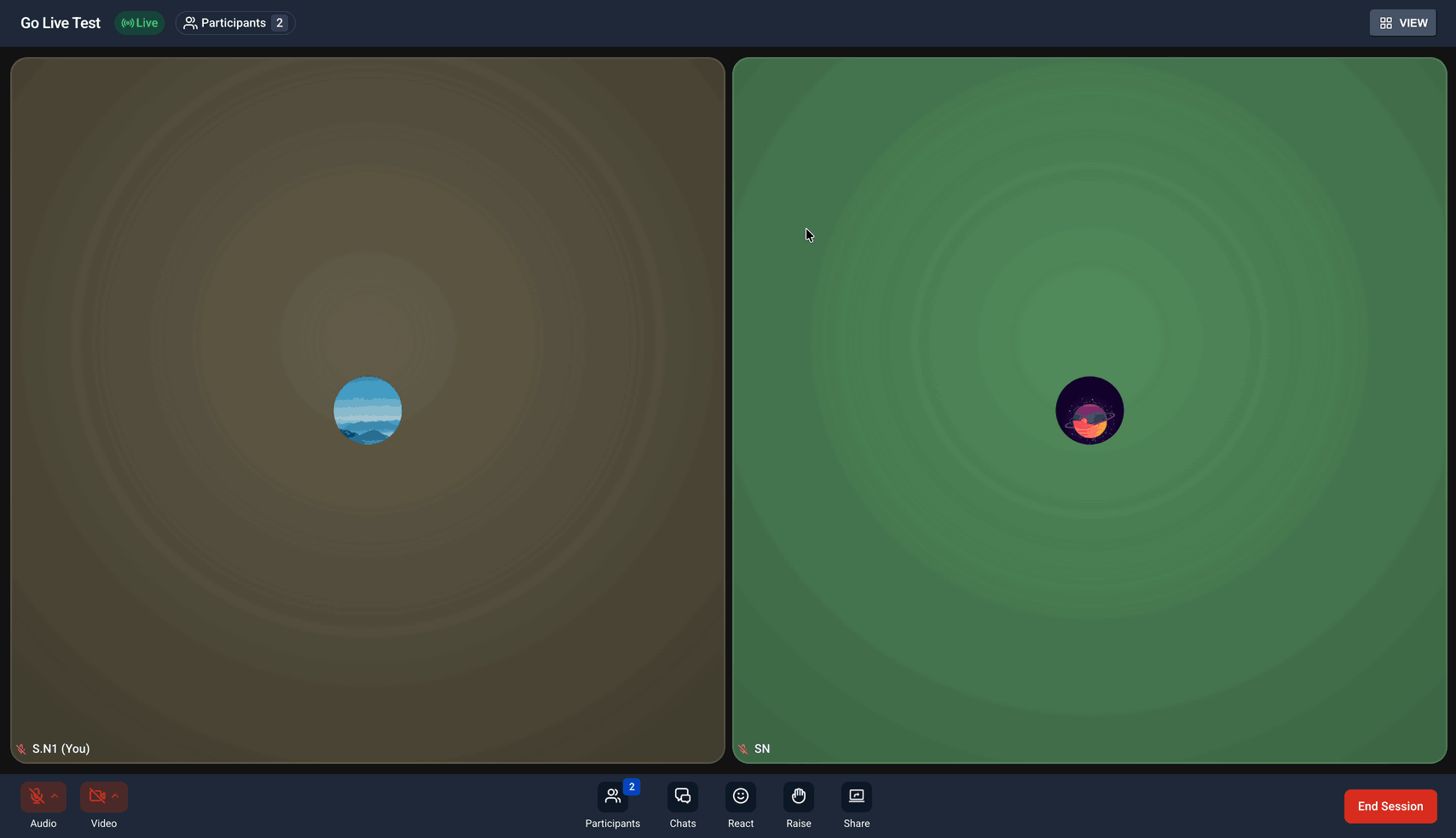 RoasFlow Screenshot 2