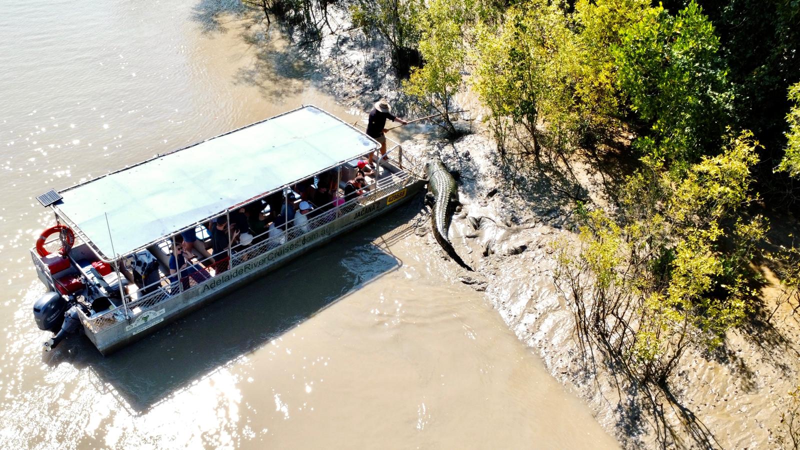 Adelaide River Cruises – Jumping Crocodile Experience