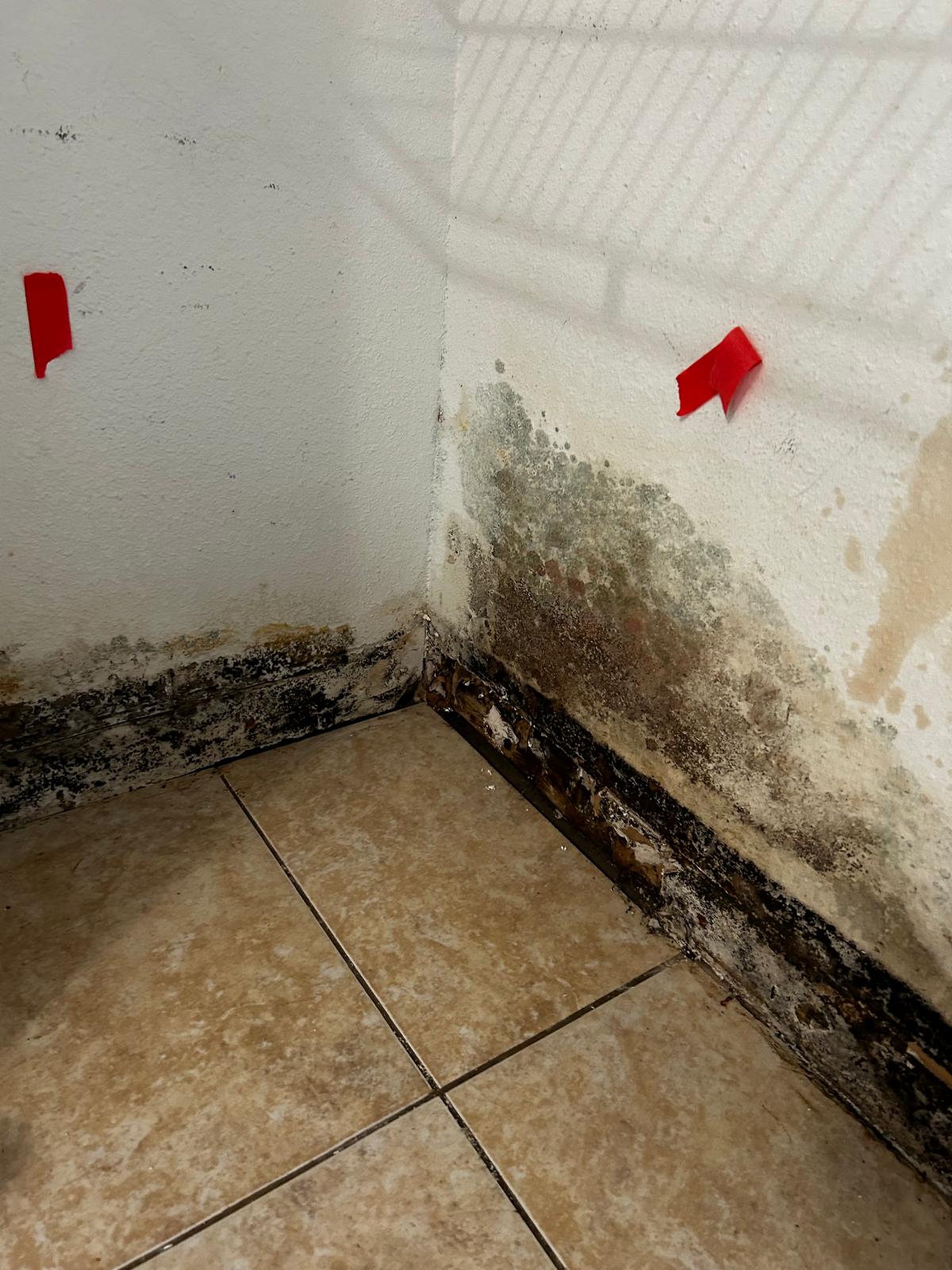 Mold Remediation Results - The Masters of Disasters