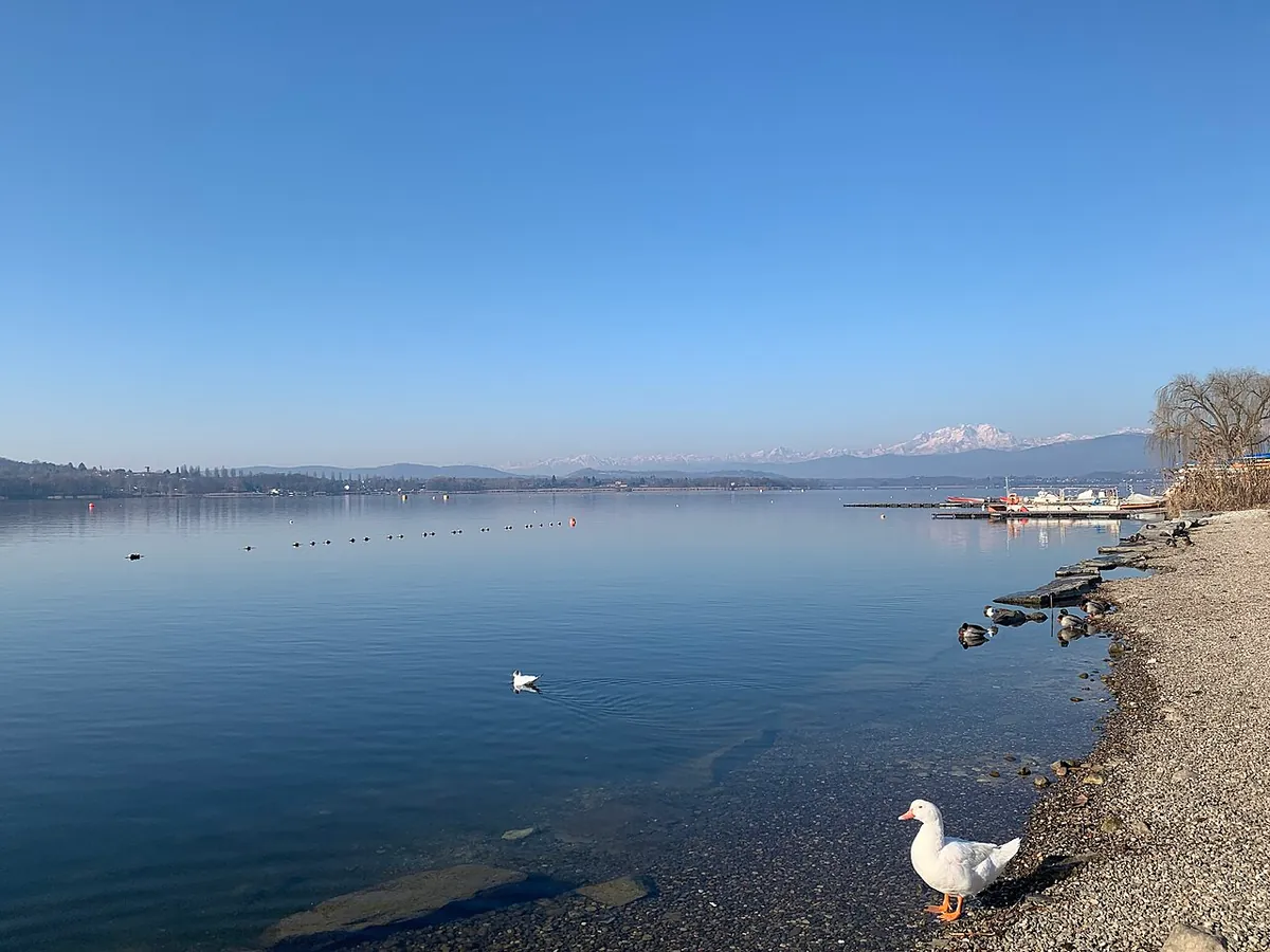 Lago di Varese da via dei Canottieri, con la riva e le montagne sullo sfondo.