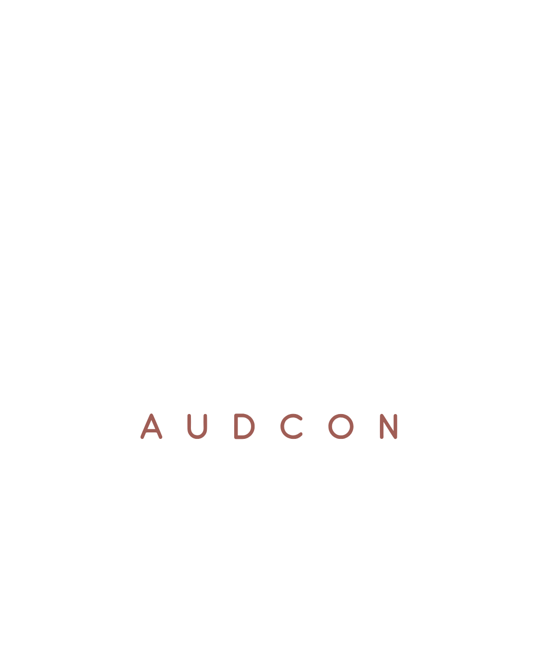 G3 AUDCON