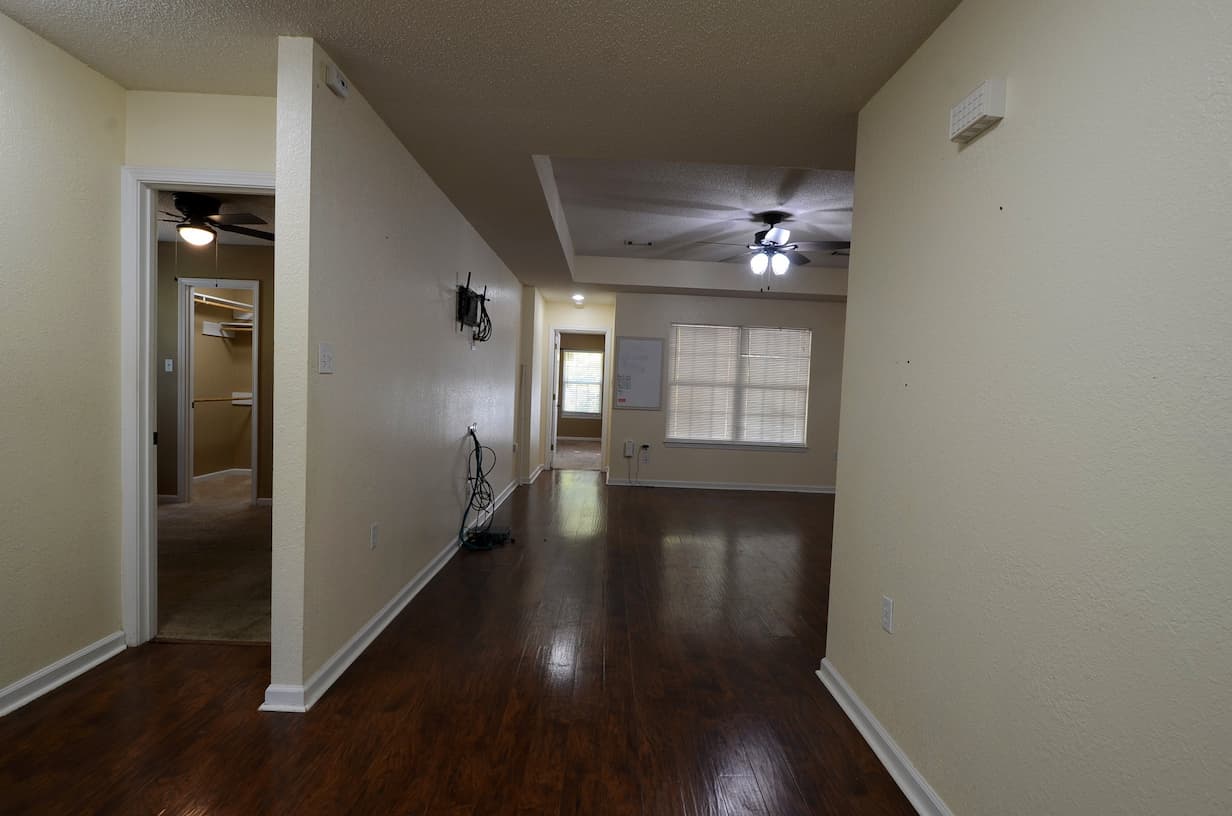 Entry into the living room