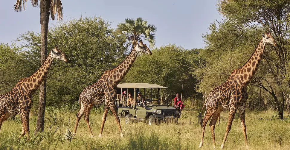 Experiencia en Kenia y Tanzania
