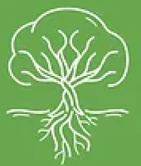 Root Body Vital Roots Chiropractic | Holistic Chiropractic Care in Florida