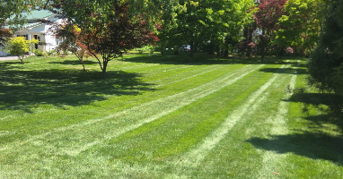Aeration & Overseeding