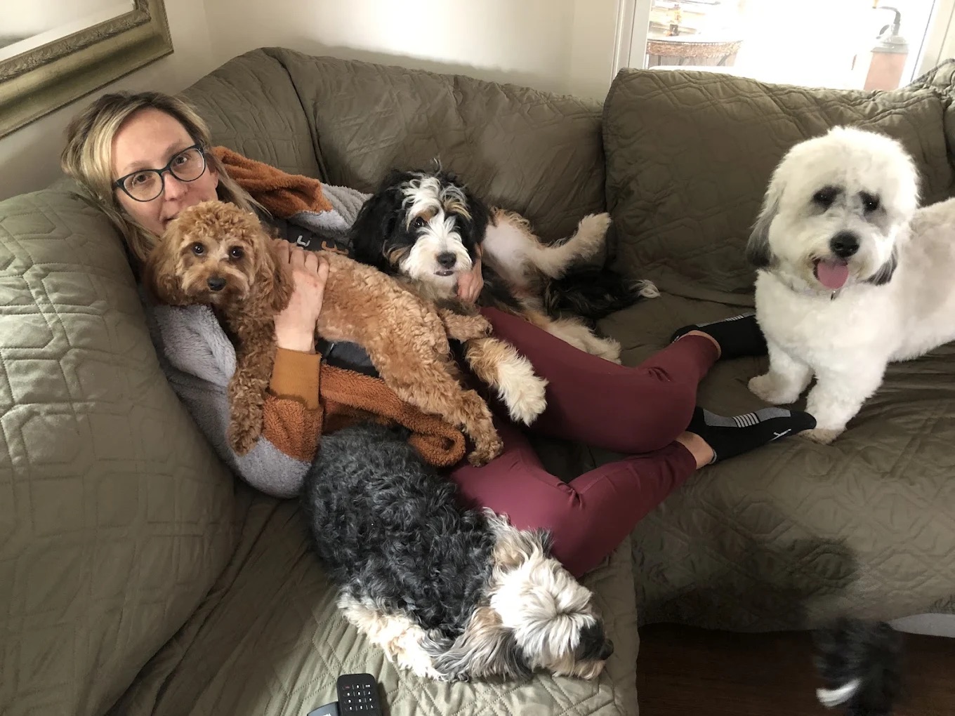 Bernardsville NJ Pet Sitting & Boarding