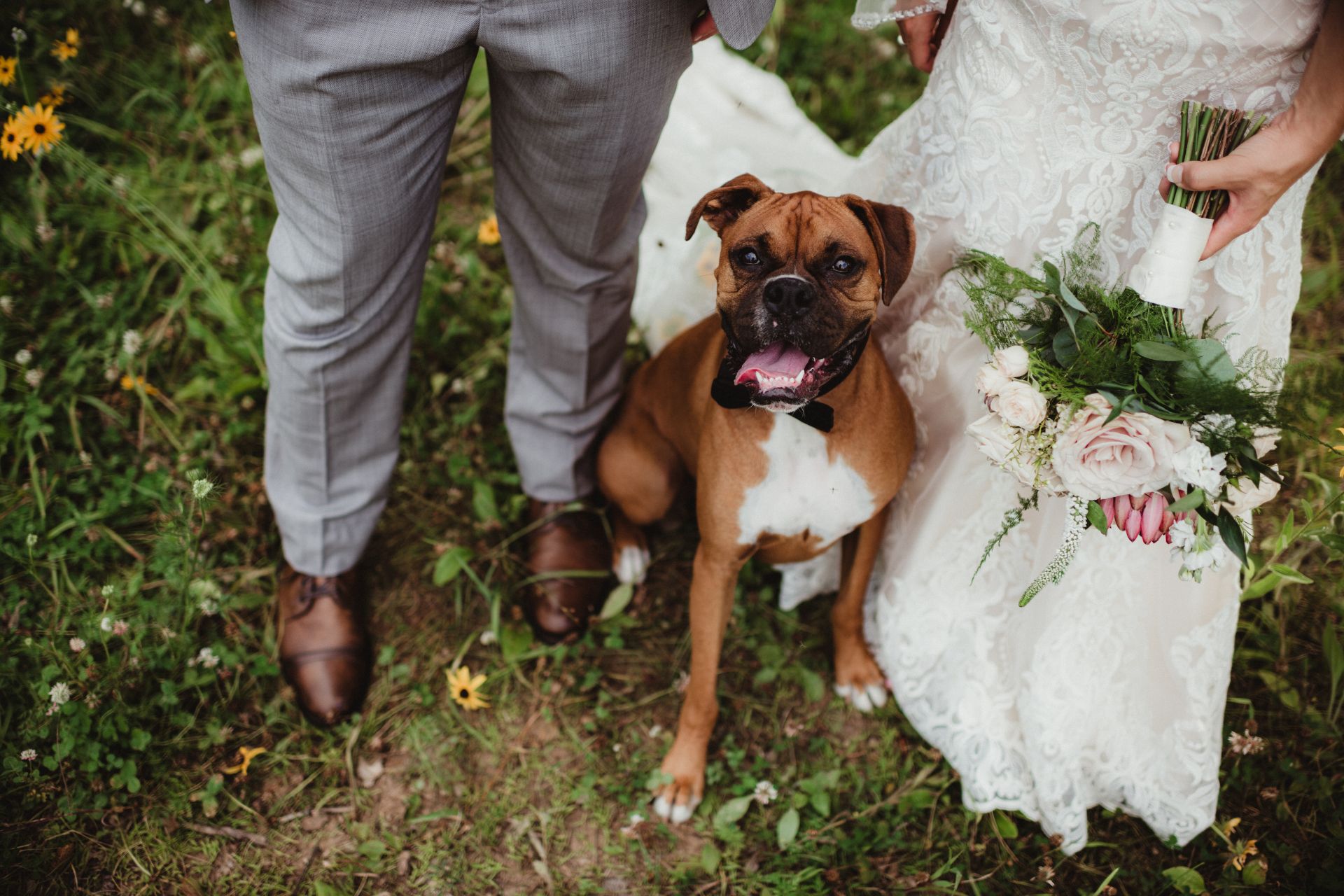 Bernardsville NJ Wedding Pet Attendant Services