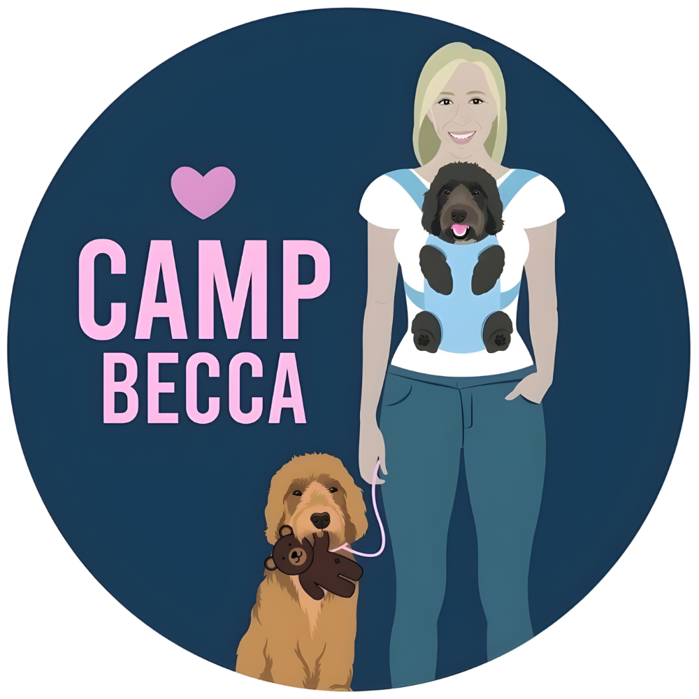 Dog Sitting & Walking Bedminster NJ