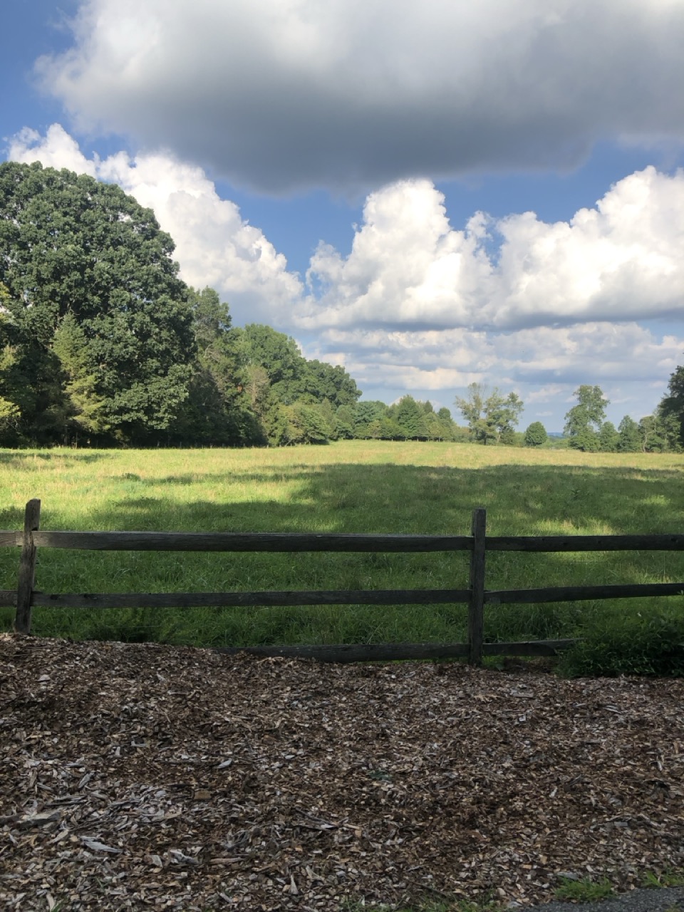 Pet Taxi & Transportation Bedminster NJ