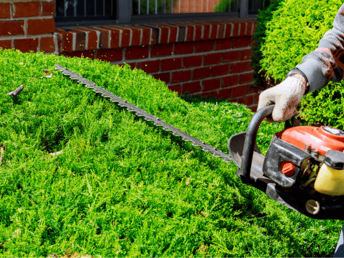 Raymond Land Clearing