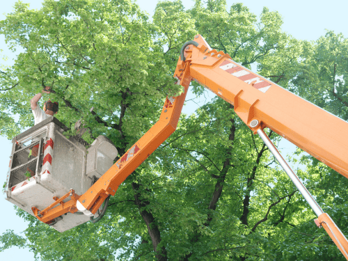 Malcolm Land Clearing